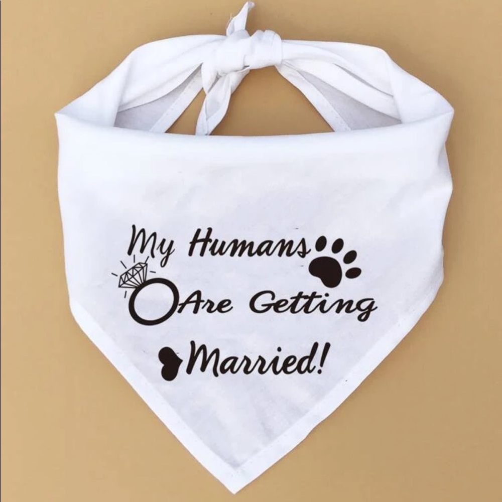 PET BANDANA